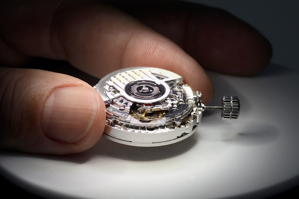 Professional assessment of the condition of the watch movements
